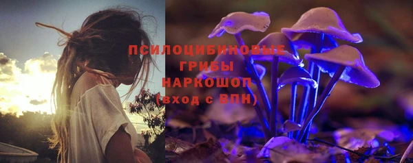 ГАЛЛЮЦИНОГЕННЫЕ ГРИБЫ Медвежьегорск