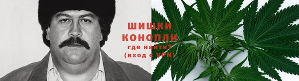 ГАЛЛЮЦИНОГЕННЫЕ ГРИБЫ Медвежьегорск
