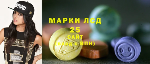 стаф Долгопрудный