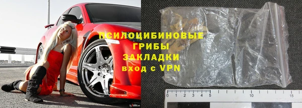 прущие грибы Ачинск